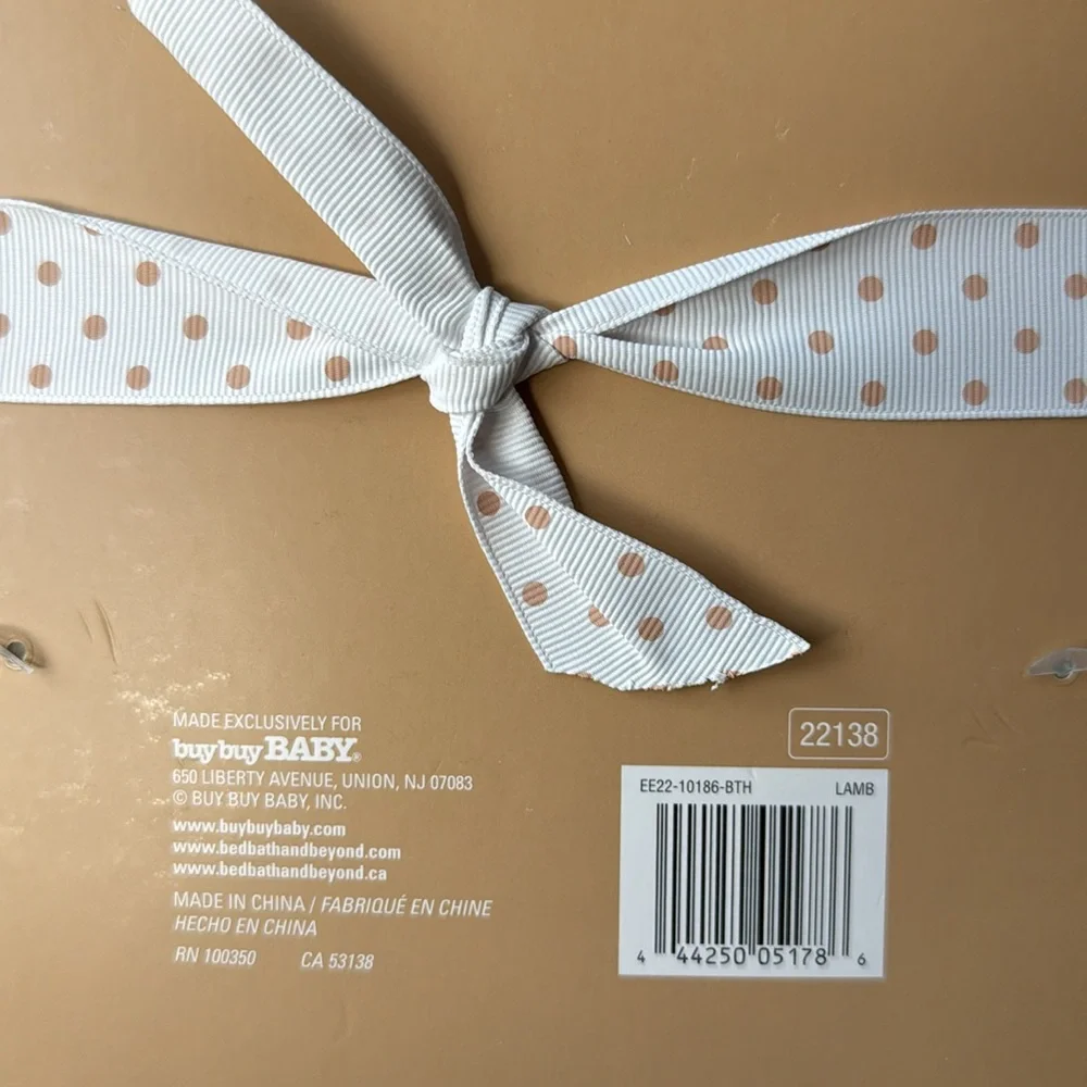 Ever & Ever Lamb Hooded Towel NWT